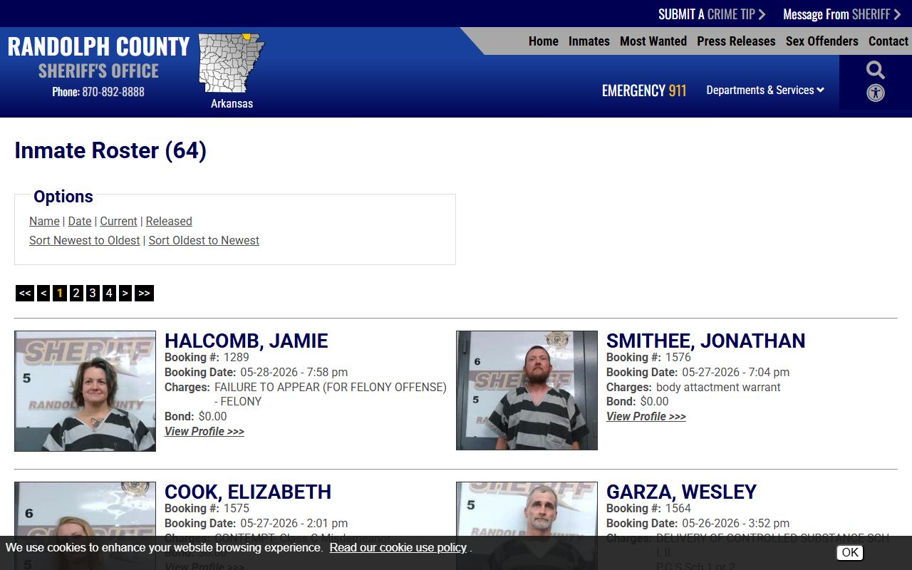 Randolph County jail roster sorted by booking date with inmate record cards
